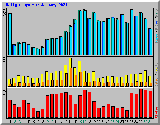 Daily usage for January 2021