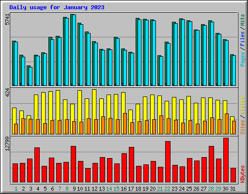 Daily usage for January 2023