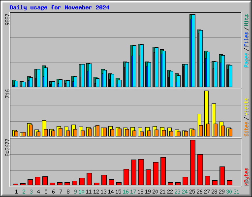 Daily usage for November 2024