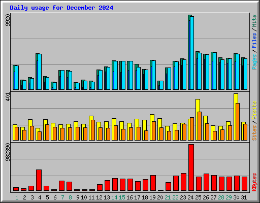Daily usage for December 2024