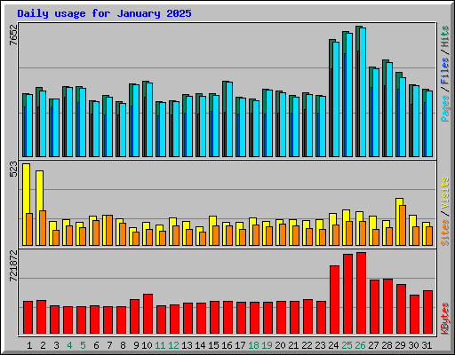 Daily usage for January 2025