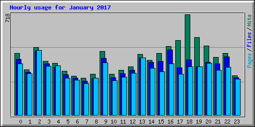 Hourly usage for January 2017