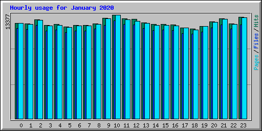 Hourly usage for January 2020