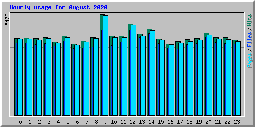 Hourly usage for August 2020