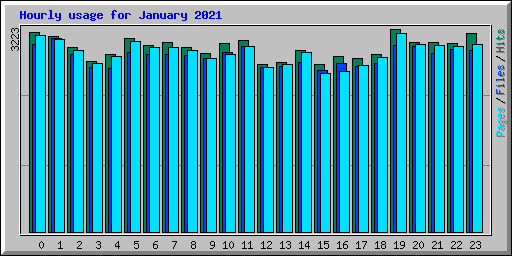 Hourly usage for January 2021