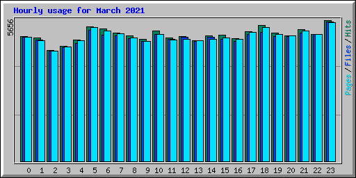 Hourly usage for March 2021