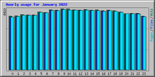 Hourly usage for January 2022
