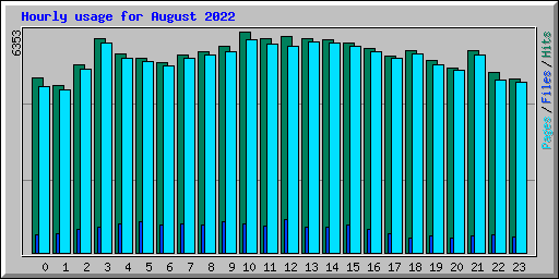 Hourly usage for August 2022