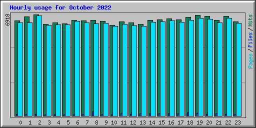 Hourly usage for October 2022