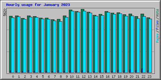 Hourly usage for January 2023