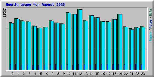 Hourly usage for August 2023
