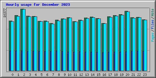 Hourly usage for December 2023