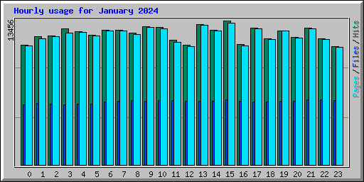 Hourly usage for January 2024