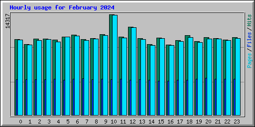 Hourly usage for February 2024