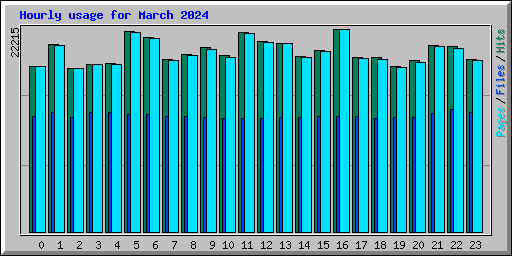 Hourly usage for March 2024