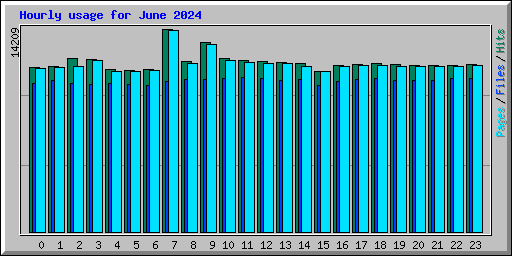 Hourly usage for June 2024