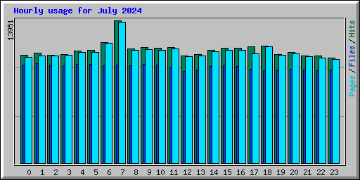 Hourly usage for July 2024