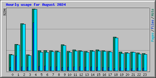 Hourly usage for August 2024