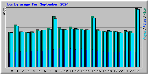 Hourly usage for September 2024