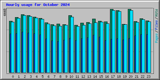 Hourly usage for October 2024