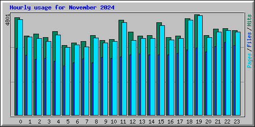 Hourly usage for November 2024