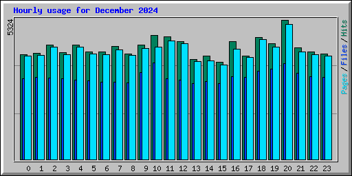 Hourly usage for December 2024
