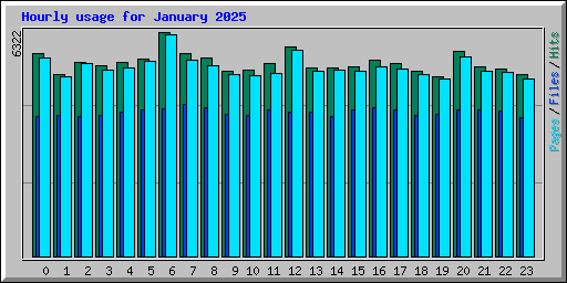 Hourly usage for January 2025