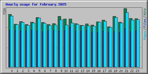 Hourly usage for February 2025