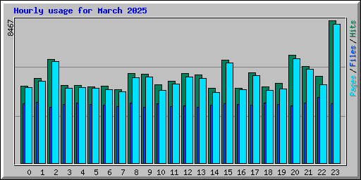 Hourly usage for March 2025