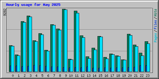 Hourly usage for May 2025