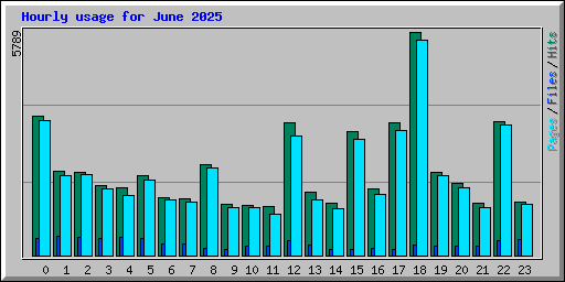 Hourly usage for June 2025
