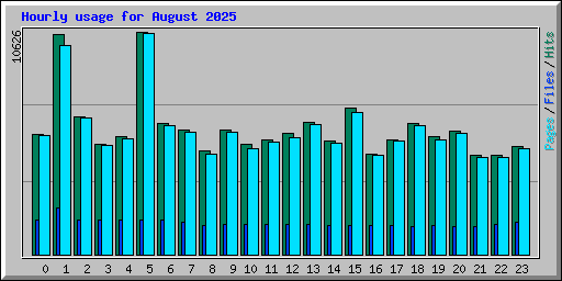 Hourly usage for August 2025