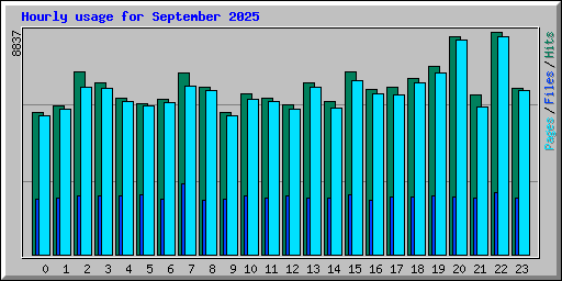 Hourly usage for September 2025