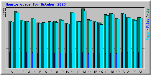 Hourly usage for October 2025