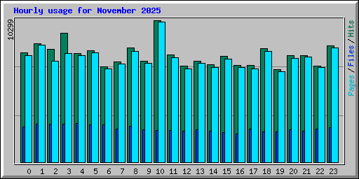Hourly usage for November 2025