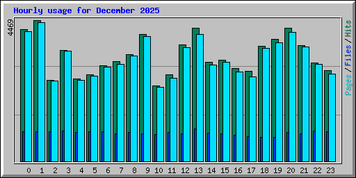 Hourly usage for December 2025