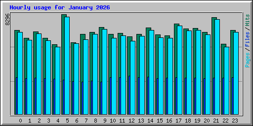Hourly usage for January 2026