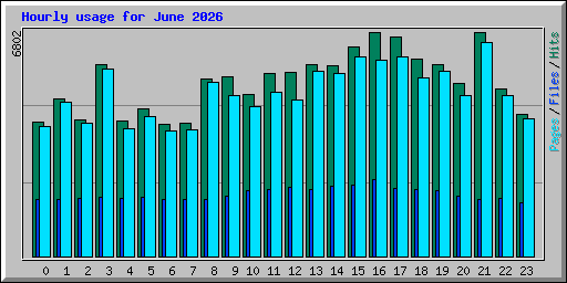 Hourly usage for June 2026