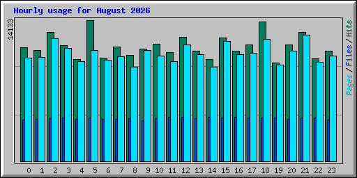 Hourly usage for August 2026